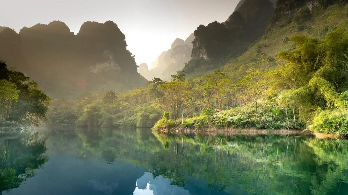 高性能高效智能